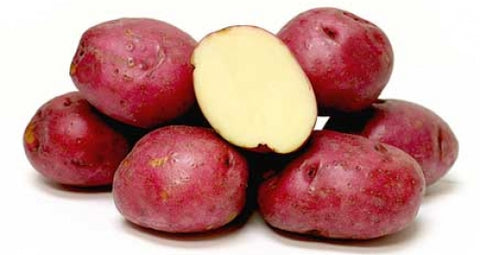 Potato Red (5 lb Bag)