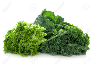 Lettuce Kale 3 Count