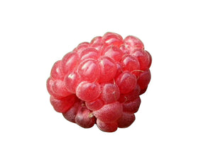Berry Raspberry