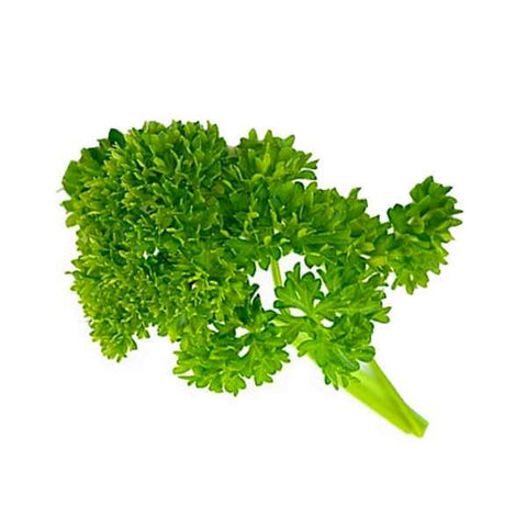Parsley Curly 3 Count