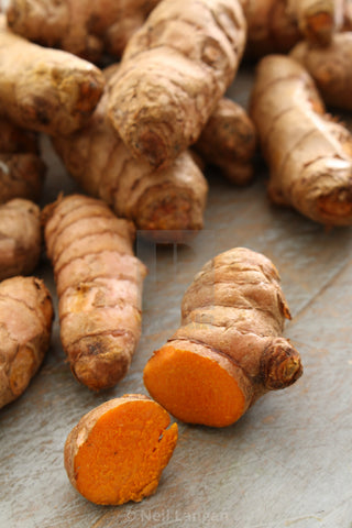 Tumeric Root (by lb)